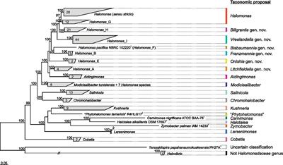 A long-awaited taxogenomic investigation of the family Halomonadaceae